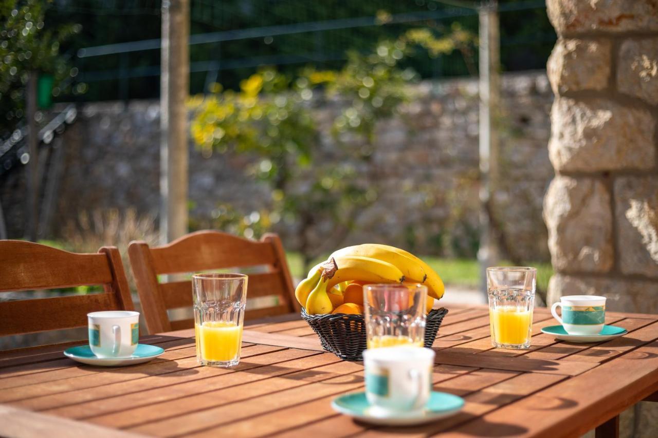 Apartment Villa Ahava Garden Dubrovnik Kültér fotó